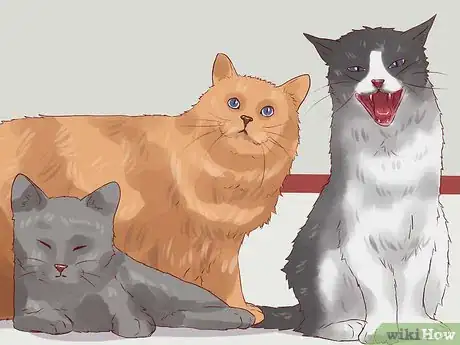 Imagen titulada Discipline Cats Step 7