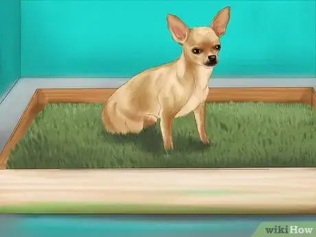 Imagen titulada Get Your Dog to Sleep Step 4