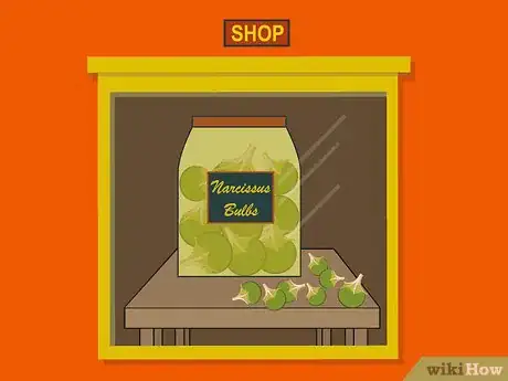 Imagen titulada Plant Narcissus Bulbs Step 06