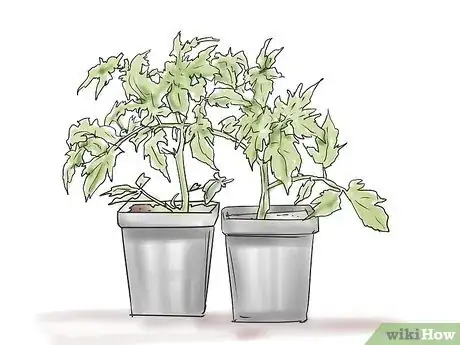 Imagen titulada Start a Small Farm or Petting Zoo Step 4