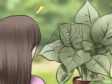 Imagen titulada Get Rid of Spider Mites Step 2