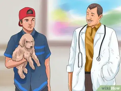 Imagen titulada Prevent Parvovirus in Dogs Step 10