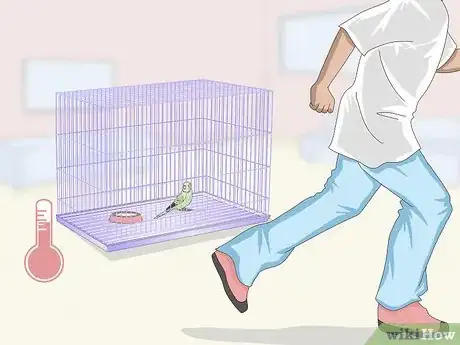 Imagen titulada House a Parakeet Step 5
