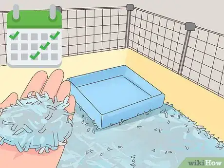 Imagen titulada Treat Mites and Lice in Guinea Pigs Step 6