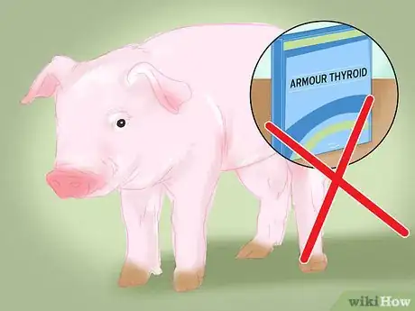 Imagen titulada Take Armour Thyroid Step 9