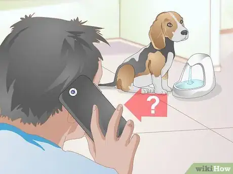 Imagen titulada Feed an Older Dog with Kidney Disease Step 15