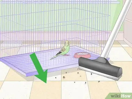 Imagen titulada House a Parakeet Step 6