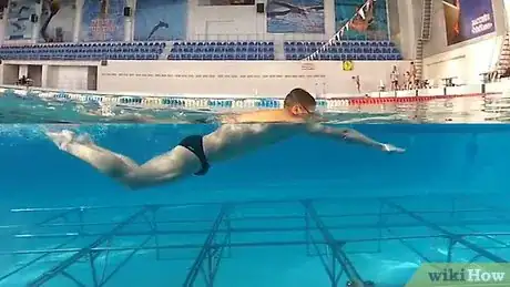 Imagen titulada Dolphin Kick Step 5
