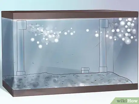 Imagen titulada Create an Undergravel Filter for Your Fishtank Step 9