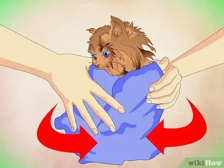 Imagen titulada Make a Kitten Like Water Step 13