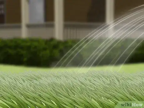 Imagen titulada Get Rid of Clover Mites Step 5