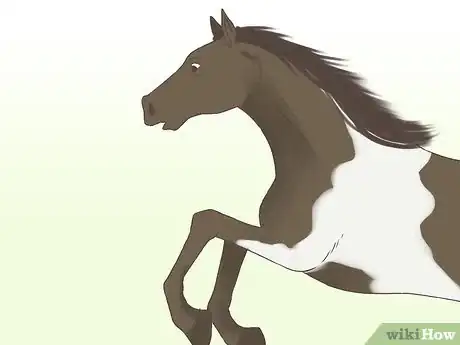 Imagen titulada Get a Horse Fit Step 14