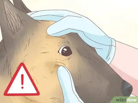 Imagen titulada Understand Your Dog's Body Language Step 7