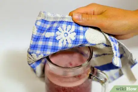 Imagen titulada Make Strawberry Wine Step 9