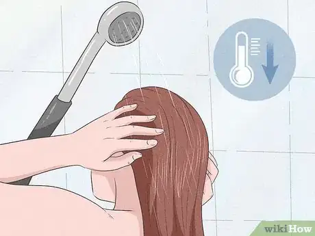 Imagen titulada Have Great Hair Step 5