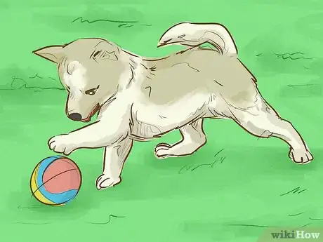 Imagen titulada Keep Your Dog Happy Step 7