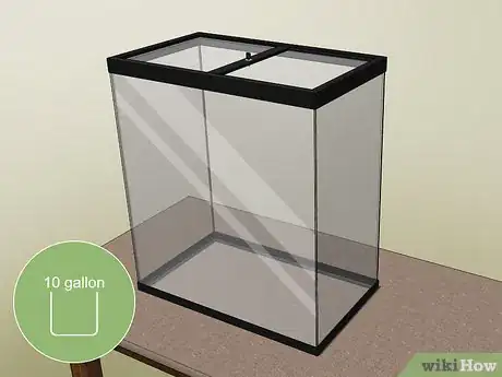 Imagen titulada Care for Green Anole Lizards Step 1