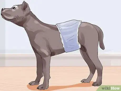 Imagen titulada Determine Whether to Diaper a Senior Dog Step 8