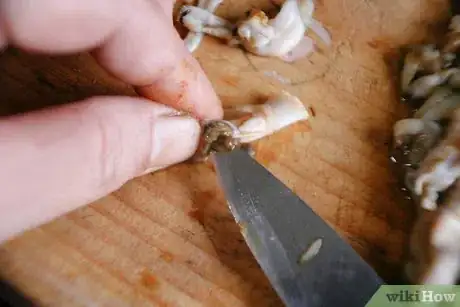 Imagen titulada Clean a Razor Clam Step 9