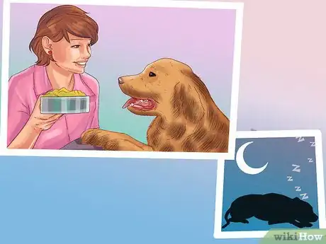 Imagen titulada Treat a Dog Throwing Up Bile Step 7