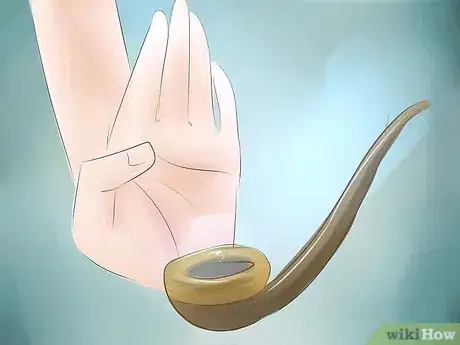 Imagen titulada Practice Shamanism Step 11