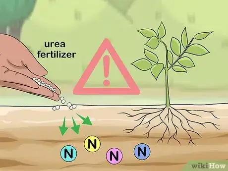 Imagen titulada Apply Urea Fertilizer Step 6