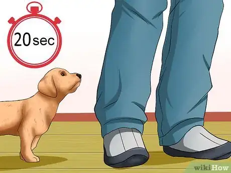 Imagen titulada Get Your Puppy to Stop Biting Step 8