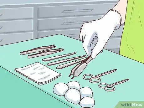 Imagen titulada Know if Your Dog Has a Slipped Disc Step 8