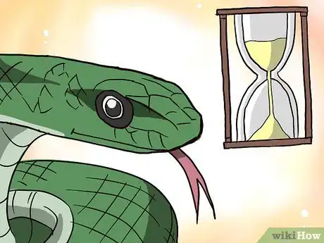 Imagen titulada Choose Your First Pet Snake Step 6