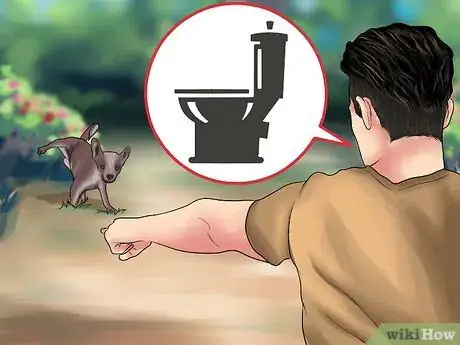 Imagen titulada Potty Train a Chihuahua Step 6