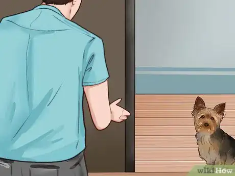 Imagen titulada Train a Yorkie Step 16