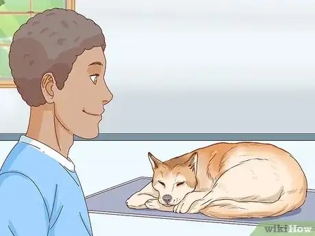 Imagen titulada Tell if a Dog Is Pregnant Step 15