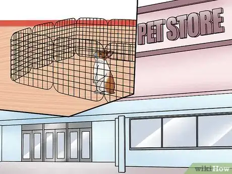 Imagen titulada Care for a House Rabbit Step 6
