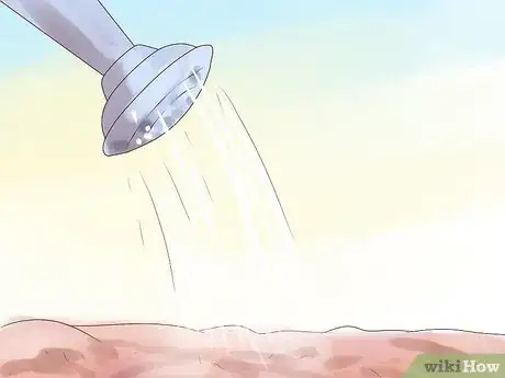 Imagen titulada Grow Pinto Beans Step 9