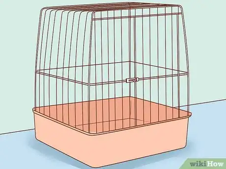 Imagen titulada Keep a Bird and a Cat in the Same House Step 1
