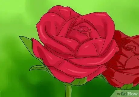 Imagen titulada Keep Rose Petals Fresh Step 1