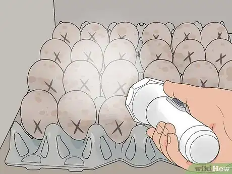 Imagen titulada Hatch Turkey Eggs in an Incubator Step 9