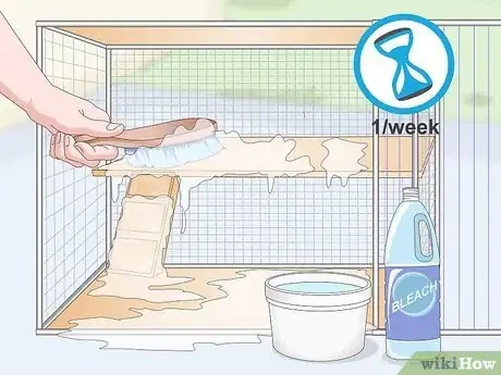 Imagen titulada Spot Common Signs of Illness in Mice Step 10