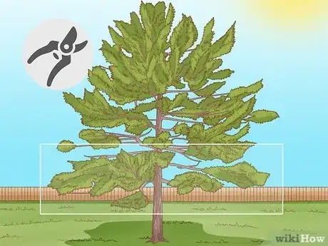 Imagen titulada Prune White Pine Trees Step 7