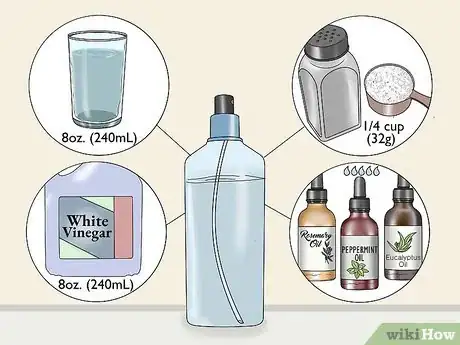 Imagen titulada Eliminate Fleas from Your Home for Free Step 10