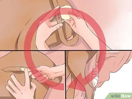 Imagen titulada Wrap a Dog's Tail Step 2