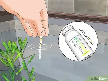 Imagen titulada Care for Mystery Snails Step 7