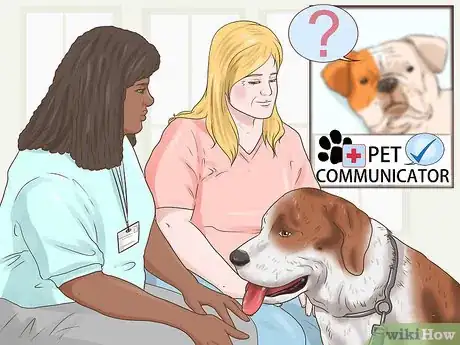 Imagen titulada Make Your Dog's Final Days Special Step 6