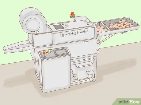 Imagen titulada Start a Chicken Farm Step 12