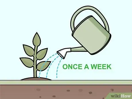 Imagen titulada Care for Gardenias Step 6