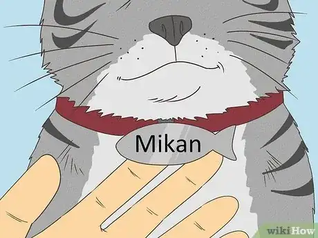 Imagen titulada Handle a Stray Cat Step 3