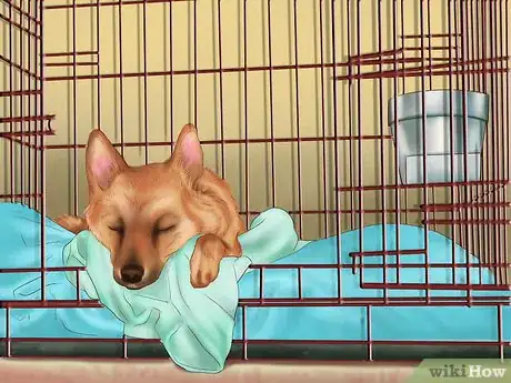 Imagen titulada Get Your Dog to Sleep Step 2
