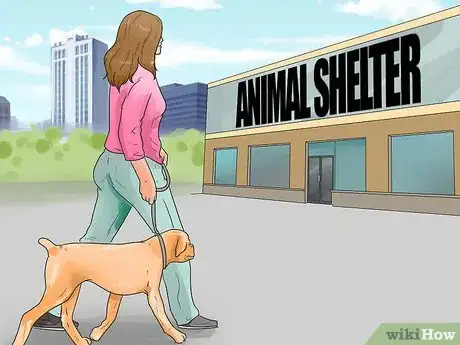 Imagen titulada Catch a Dog Step 11