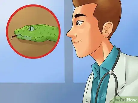 Imagen titulada Care for a Shedding Snake Step 10