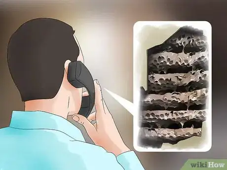 Imagen titulada Kill Yellow Jackets in the Wall Step 11